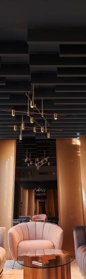 Improvement of Acoustics in the Meeting Rooms